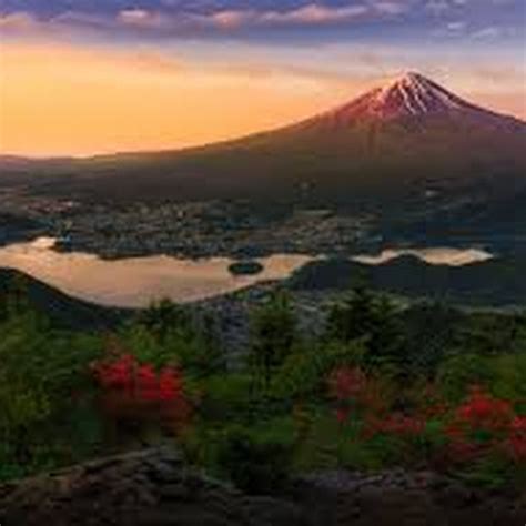 googglenews|google news japan.